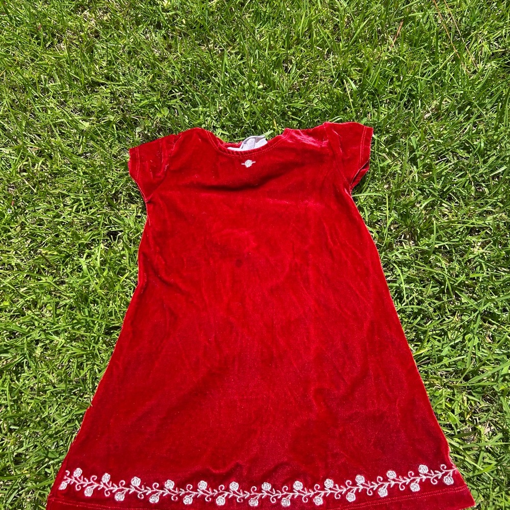 Red Velvet Dress with Embroidered Hem